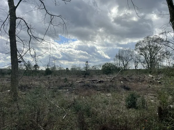 4 Sinclair Rd, Columbia, MS 39429