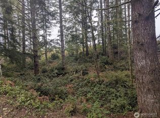 161 E Hemlock Ln, Union, WA 98592