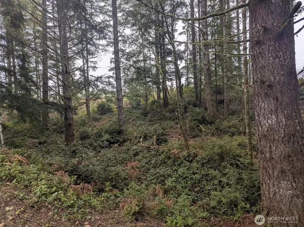 161 E Hemlock Lane, Union, WA 98592