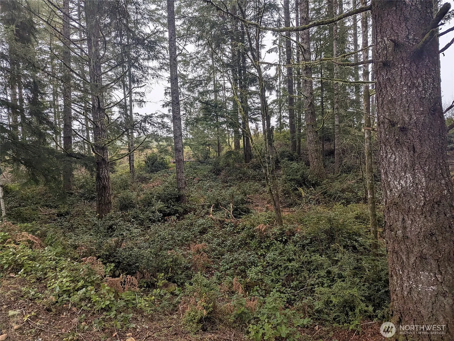 161 E Hemlock Lane photo 1