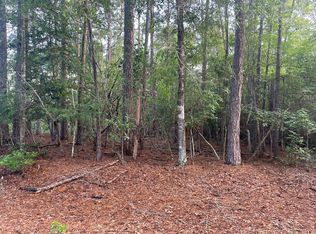 LOT 2 Buckeye St, Village Mills, TX 77663