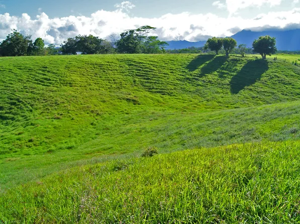 Olohena Rd, Kapaa, HI 96746