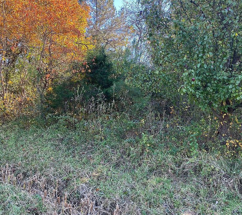 2nd image of Bard Cameron Rd