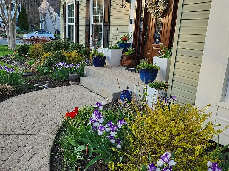 entryway to the house with current landscaping