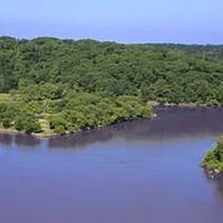 Rented by Nelson Management Group