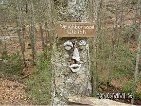 4th image of Hp 5 Hawk Perch Maggie Valley
