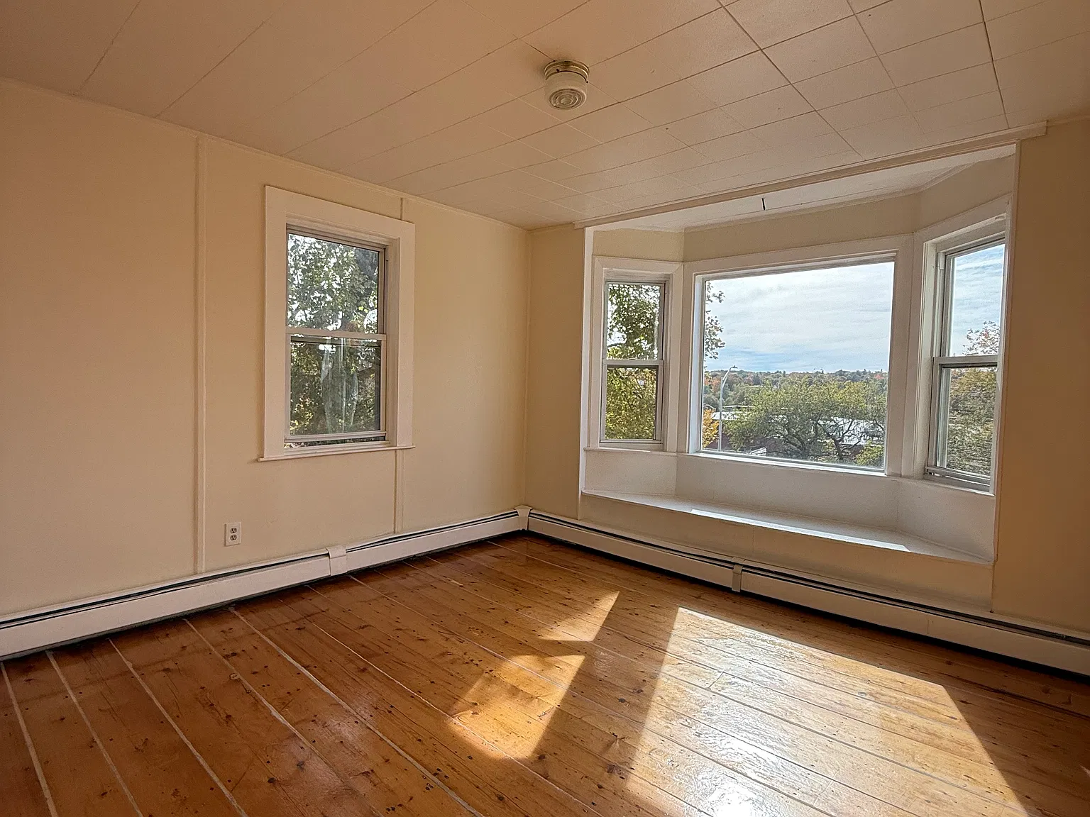 2 bed, 500 sqft, $1,950 — Photo 4