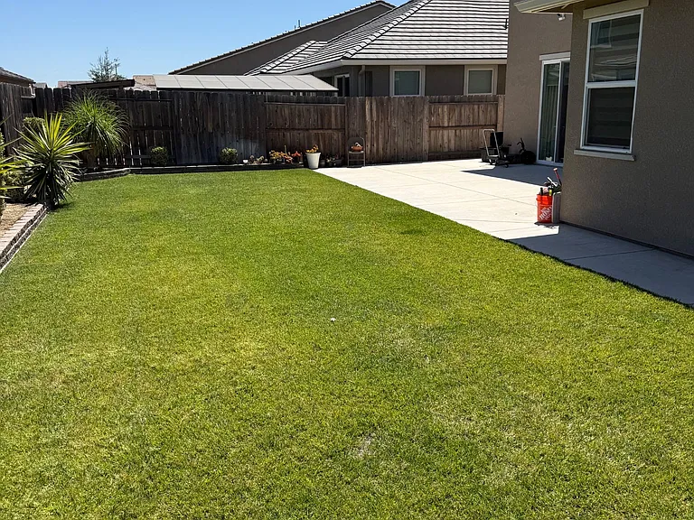 1295 Joann St — Photo 11