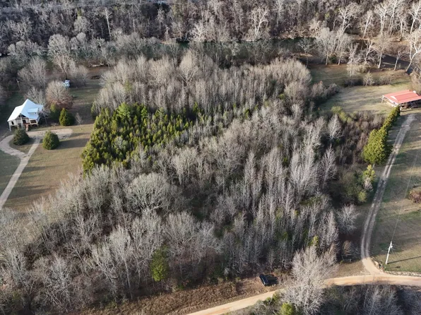 0 Buffalo Bottom Rd Lot 16, Linden, TN 37096