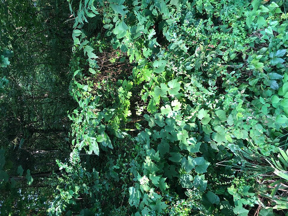 1st image of England Cemetery Ln