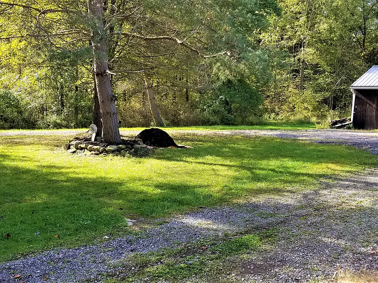 5057 Miller South Rd — Photo 15