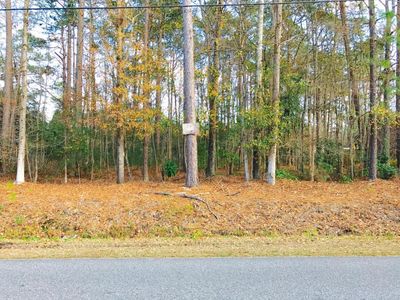 121 Wilson Dr, Summerville, SC, 29483