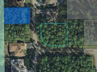 113 Edward Dr, Palm Coast, FL 32164