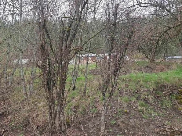 Pine St Lot 1, Peck, ID 83545