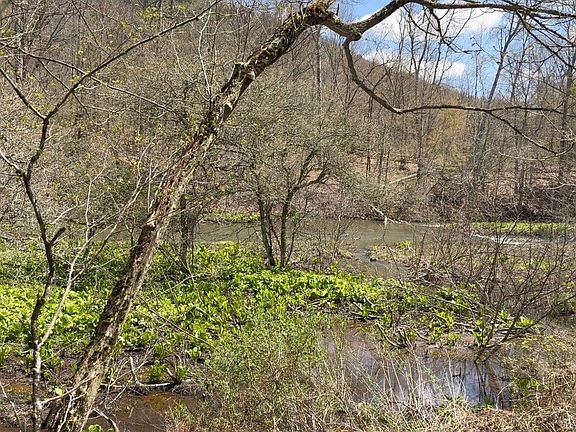 2nd image of 3838 Union Valley Rd Lot 9