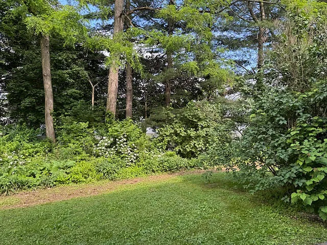 23 Brewster Rd — Photo 45