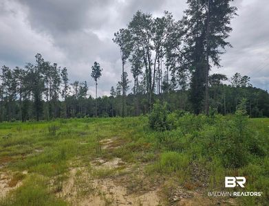 23799 Lonnie Hadley Rd #1, Perdido, AL, 36562