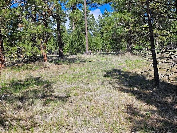 5th image of 168 Prior Loop Road