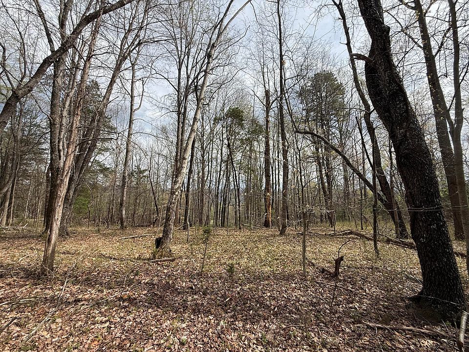 1st image of 0 Back Creek Rd