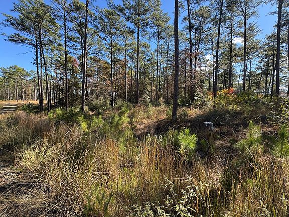 4th image of LOT 54 Private Road 6028
