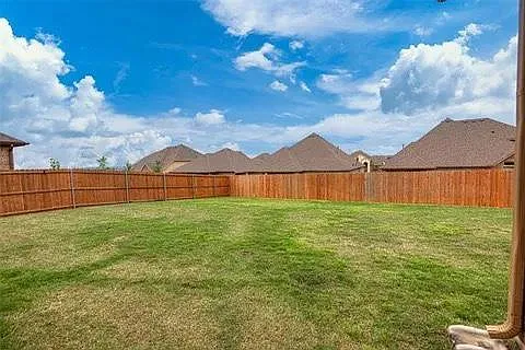 Privacy trees have since been planted