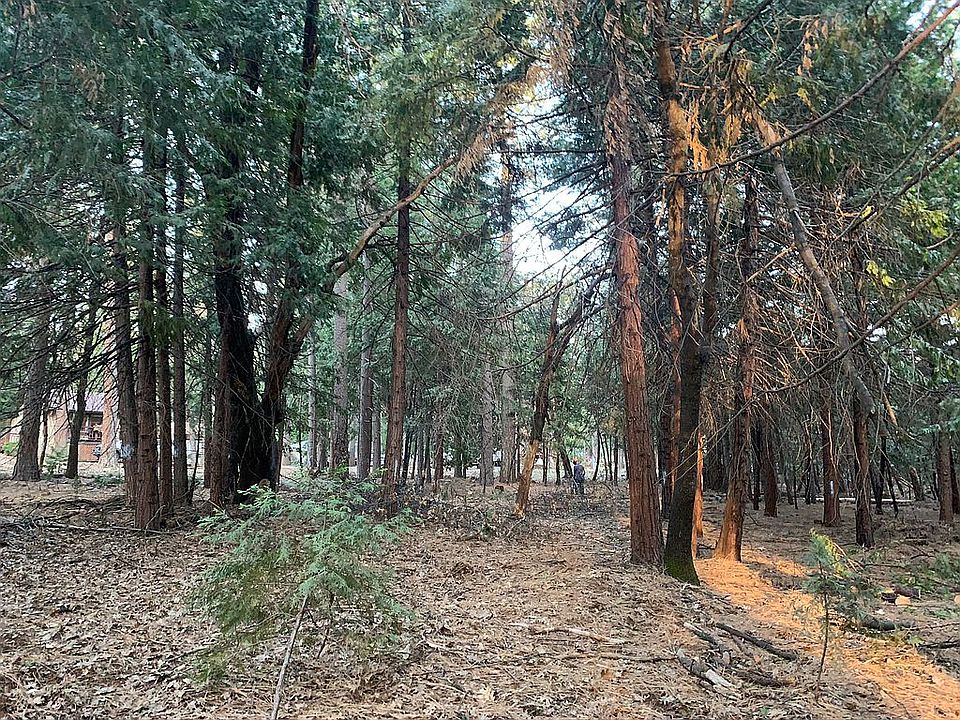 Undeveloped land the beginni
