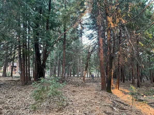 23960 Old Madrone Rd, Pioneer, CA 95666