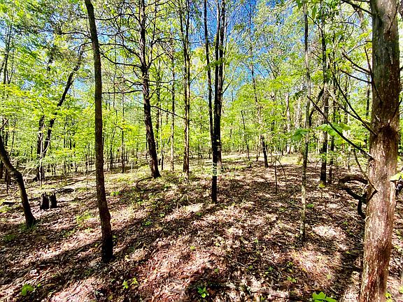 4th image of Asbury Dr Lot 19