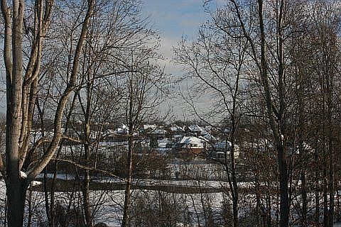 Backyard view
