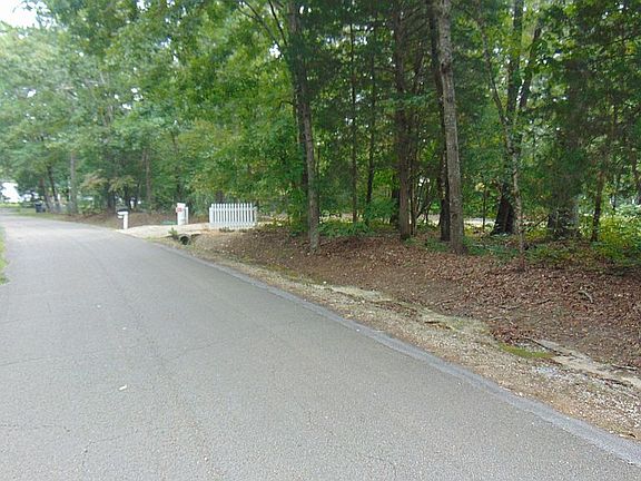 Tree lined county road 