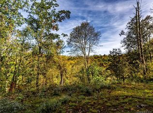 306 Buddy Boy Ln #75C, Cherokee, NC 28719