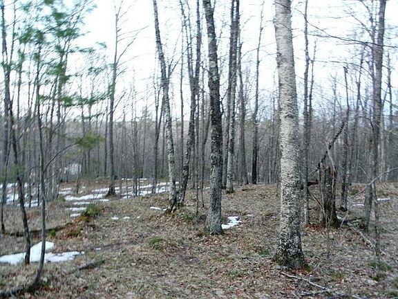 5th image of ON Pixley Wilderness Shrs