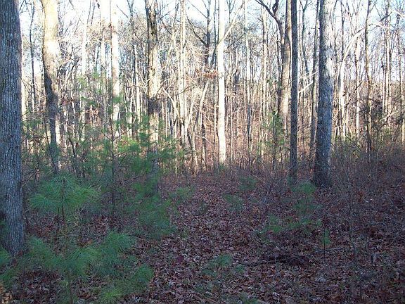 3rd image of LOT 11 Europa Dr Unit 11