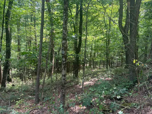 0 Sarah Ln, Basye, VA 22810