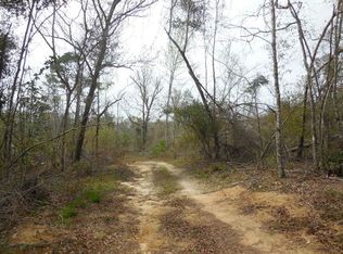 Ocheessee Rd NE, Grand ridge, FL 32442