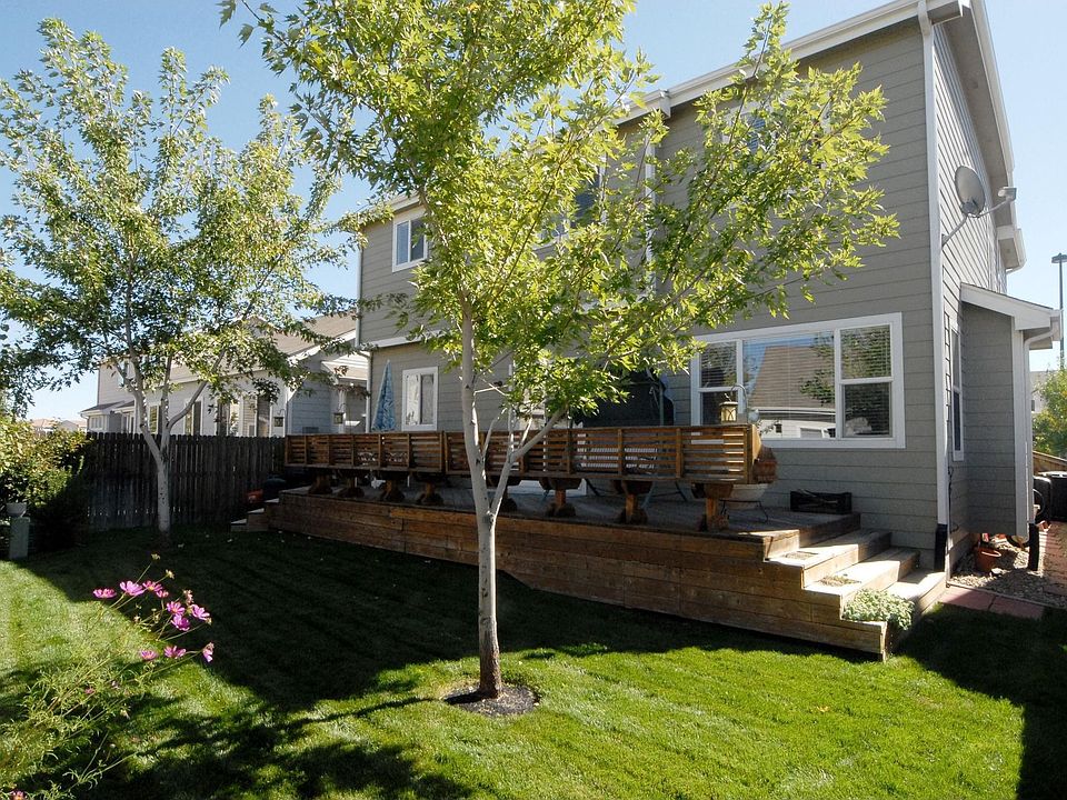 Back yard view