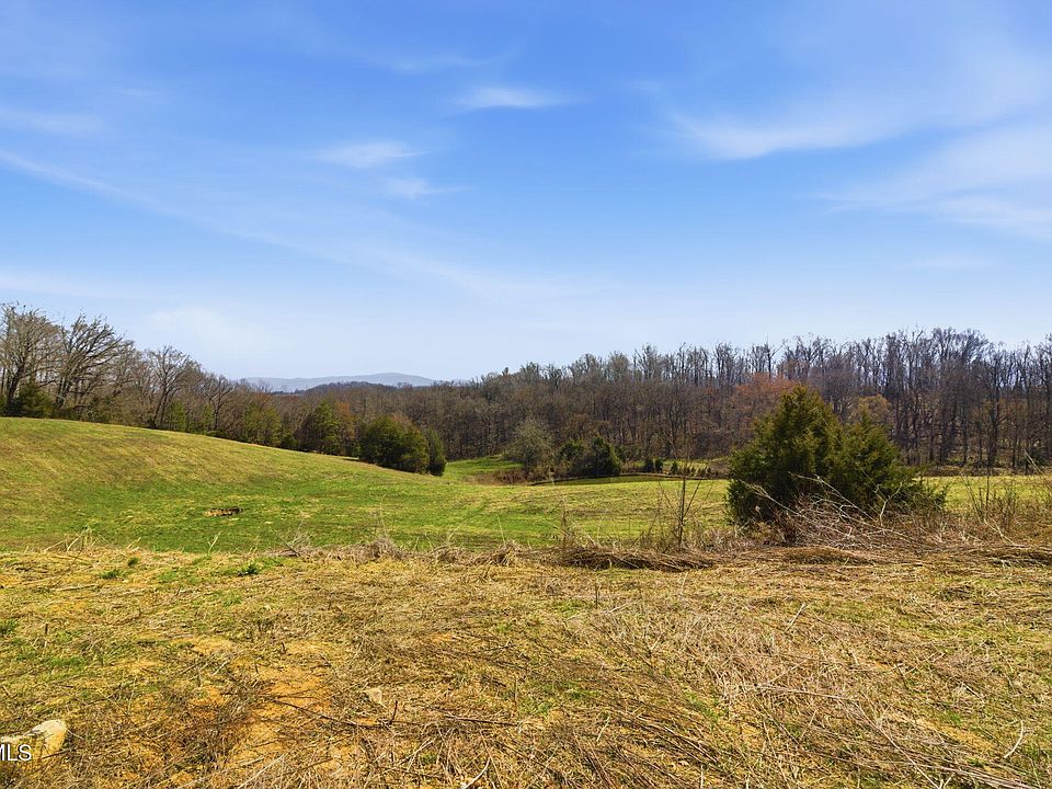 46th image of this home