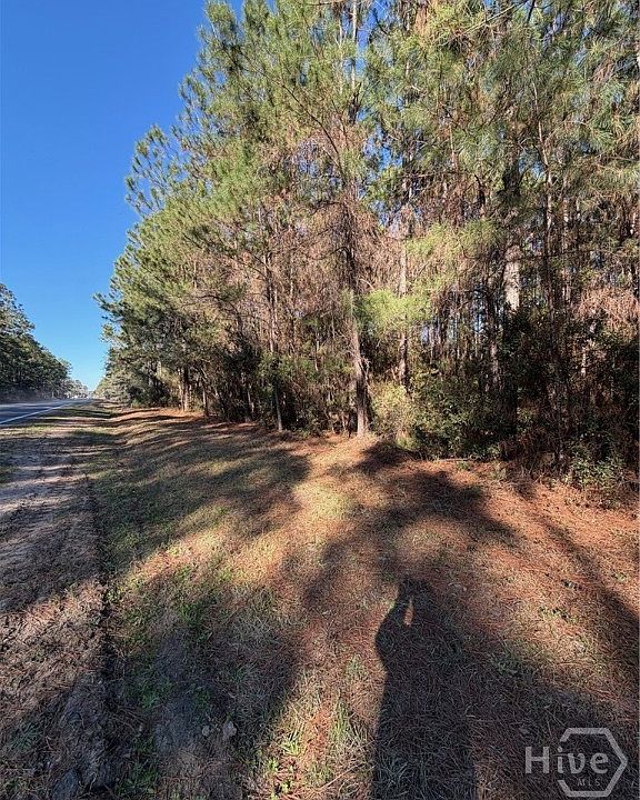 2nd image of 3C McCall Road