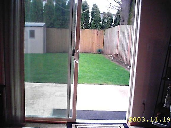 back yard