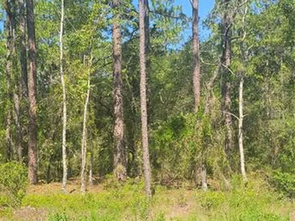 0 NW Redwood Dr #3, Dunnellon, FL 34431