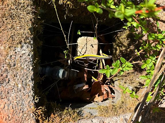 3rd image of 19-22 Demory Rd