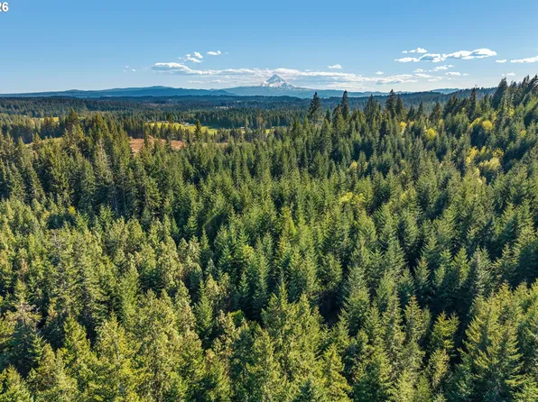 0 Snowden Rd, White Salmon, WA 98672