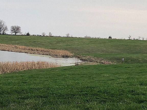 Pasture/pond facing south