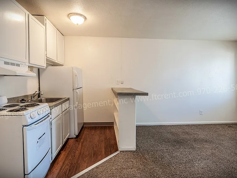 500 W Laporte Ave — Photo 50