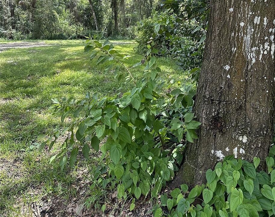2nd image of 7303 SE 7TH PLACE LOT 196