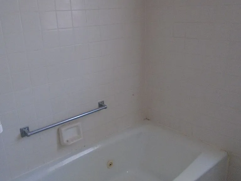 1105 Myrtle Ln — Photo 8