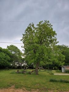 217 Stirrup Rd, Tioga, TX, 76271