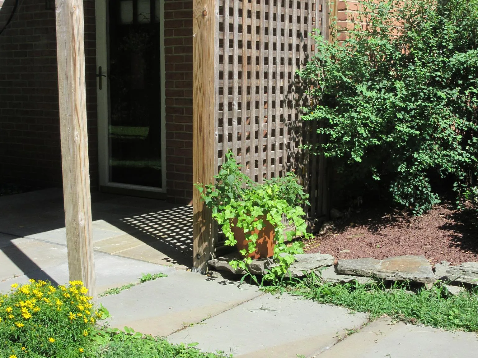 1 bed, 500 sqft, $1,695 — Photo 2