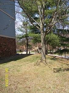 3rd image of 430 Ten Point Ln