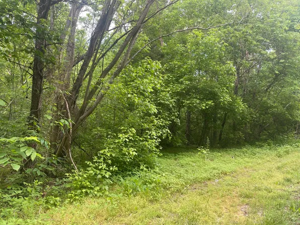 11-12 Speedwell Church Rd, Bulls Gap, TN 37711